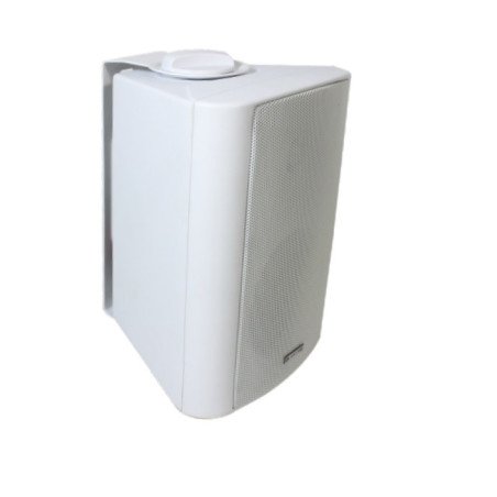 Настенная акустическая система CleverMic SW30 Настенная акустическая система CleverMic SW30